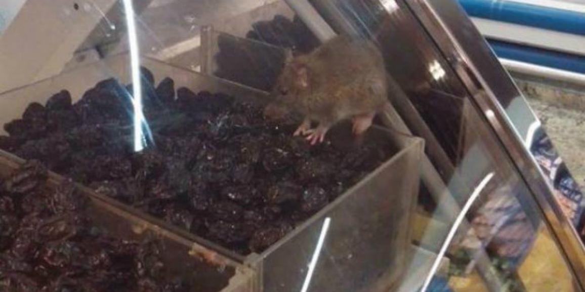 Vigilância fotografa rato em alimento